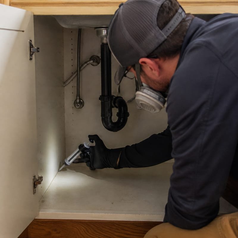 Technician placing small gel bait dots inside a cabinet void during cockroach treatment in Worcester, MA