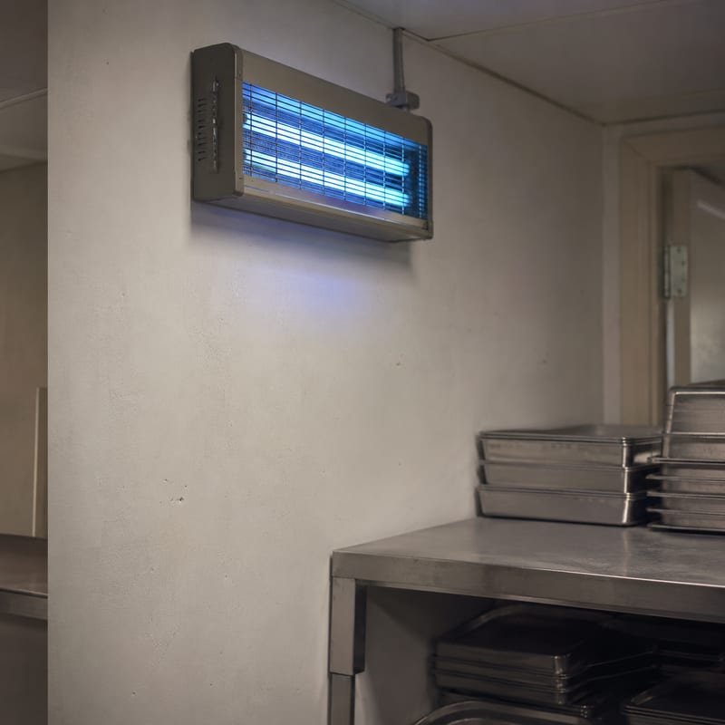 Insect light trap mounted in the back-of-house area of a food premises in Worcester, MA