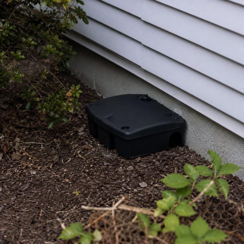 Tamper-resistant exterior rodent bait station installed against the foundation of a Central Massachusetts house