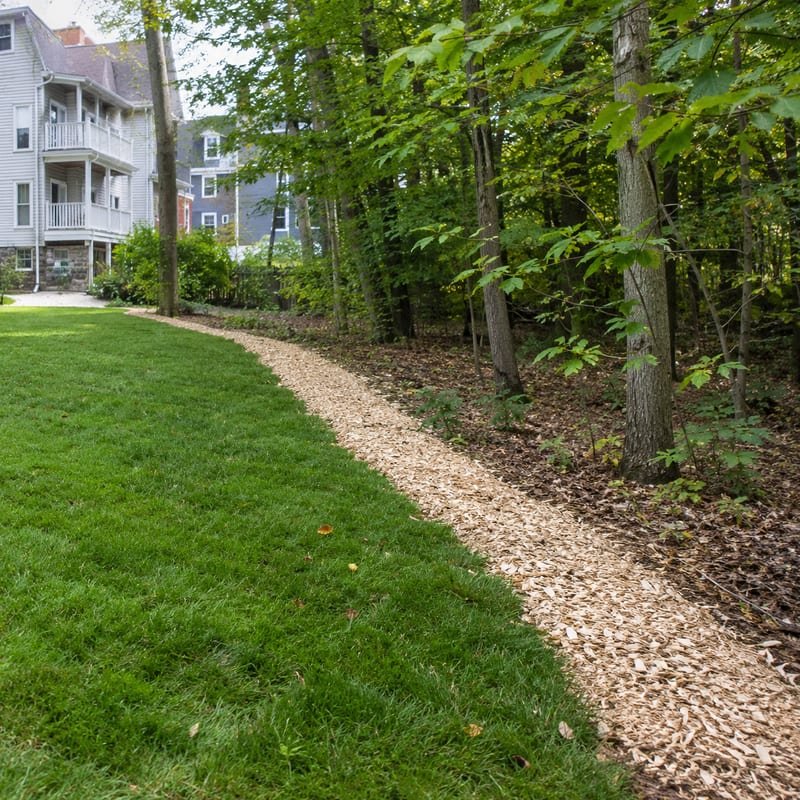 Three-foot wood chip border installed between mown lawn and woodland edge to reduce ticks in Worcester, MA